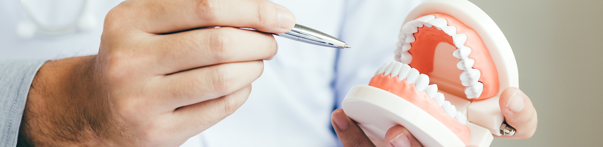 Dentist holding a model of dentures in Bullard